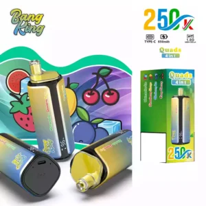 BANG KING 250K Vape