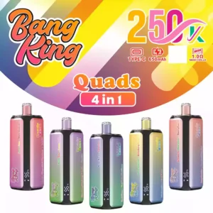 BANG KING 250K Vape