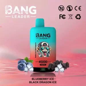 Bang Leader 45K Vape 2 in 1 Vape BLAUWE BES IJS & ZWARTE DRAAK IJS