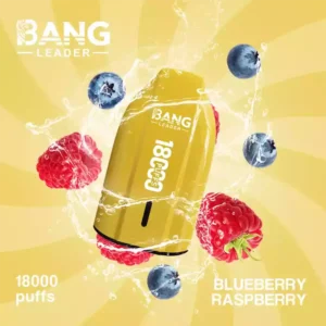 Bang Leader Vape 18K Vape Blueberry Raspberry