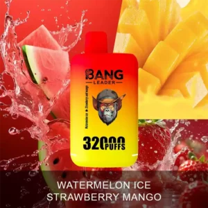 Bang Leader Vape 32K 2 in 1 Vape WATERMELON ICE & AARDBEI MANGO