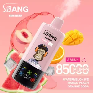Bang Leader Vape 85K Puff 3 in 1 Vape Watermelon Ice & Mango Peach & Orange Soda