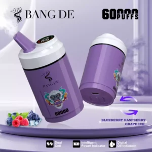 BANG Vape DE 60K 3 in 1