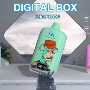 RandM Vape Fumot Digital Box 12K