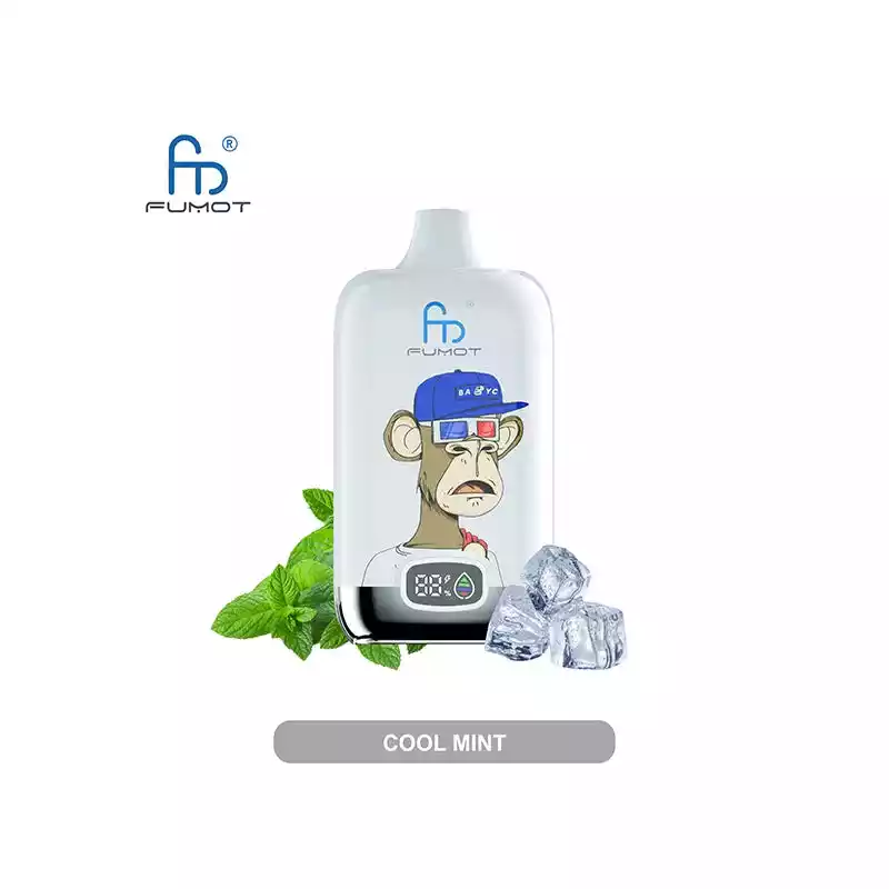 RandM Vape Fumot Digital Box 12K