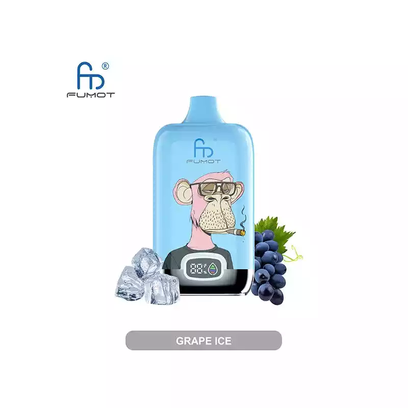 RandM Vape Fumot Digital Box 12K