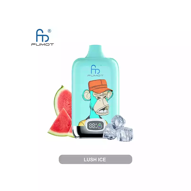 RandM Vape Fumot Digital Box 12K