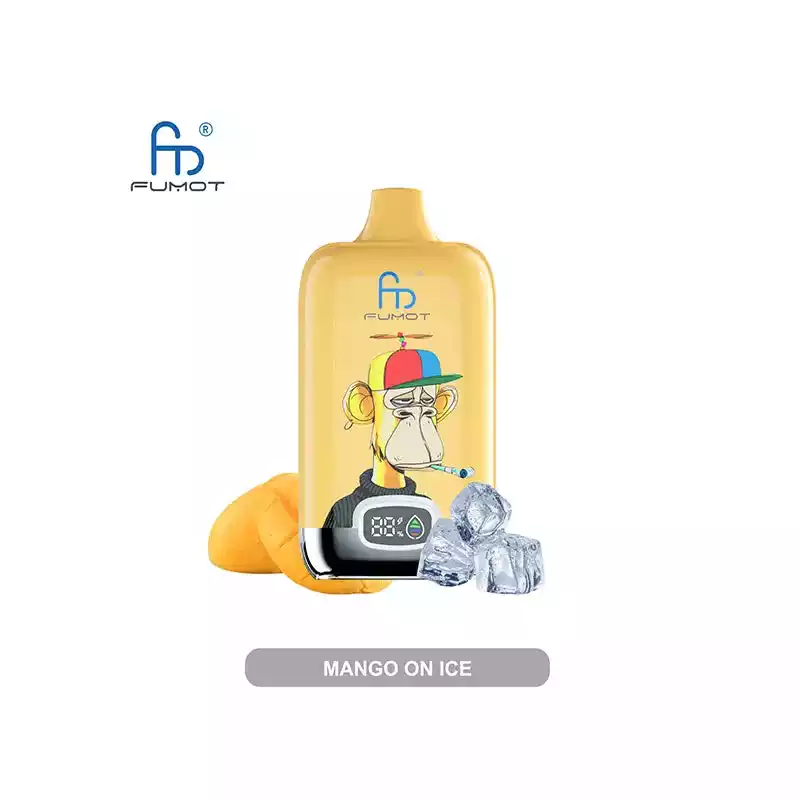 RandM Vape Fumot Digital Box 12K