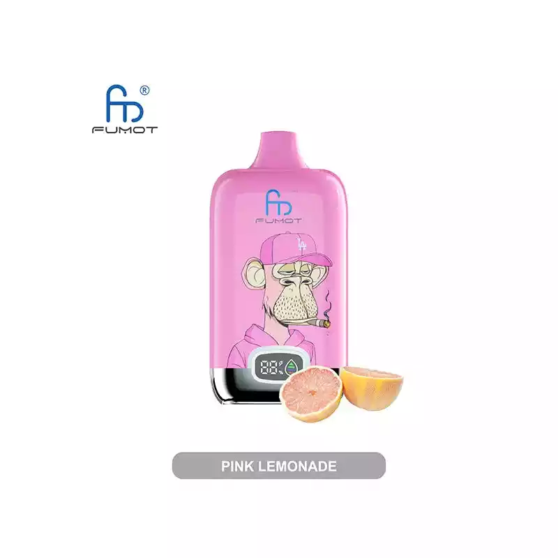 RandM Vape Fumot Digital Box 12K