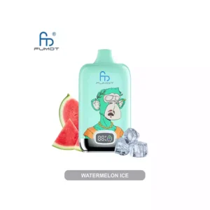 RandM Vape Fumot Digital Box 12K