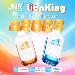 Jnr Vape 42K Vape Rechargeable Vape