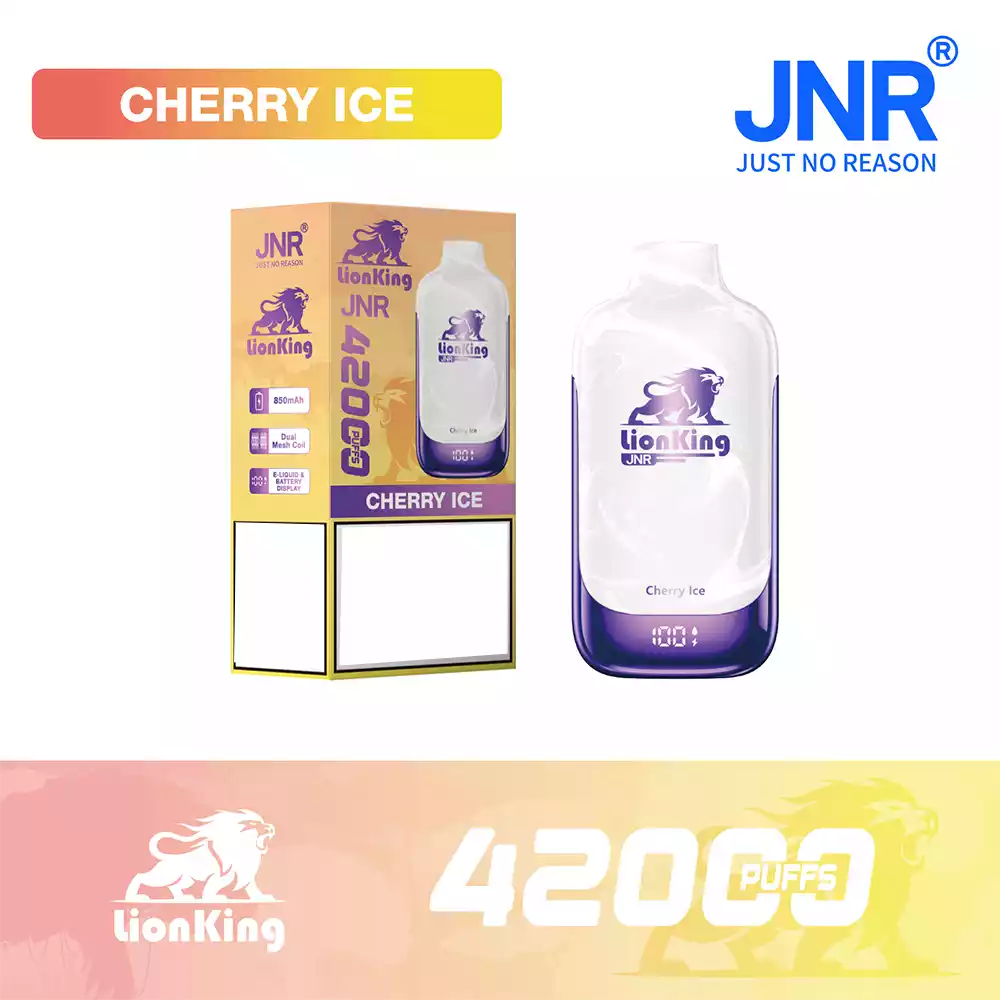 Jnr Vape 42K Vape Rechargeable Vape Blueberry Raspberry