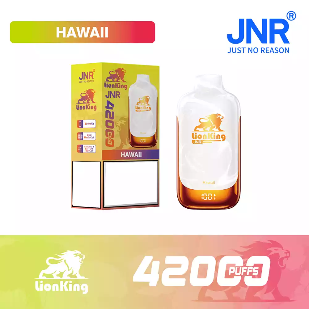 Jnr Vape 42K Vape Rechargeable Vape Hawaii