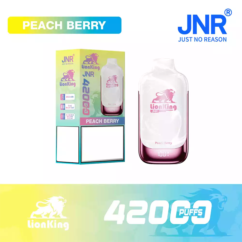 Jnr Vape 42K Vape Rechargeable Vape Peach Berry