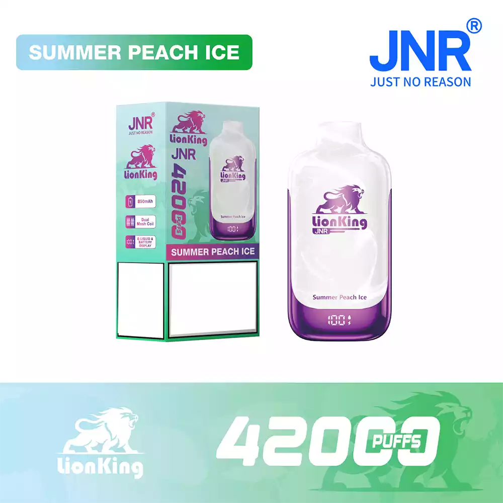 Jnr Vape 42K Vape Rechargeable Vape Summer Peach Ice