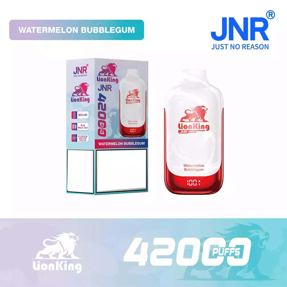 Jnr Vape 42K Vape Rechargeable Vape Watermelon Bubblegum
