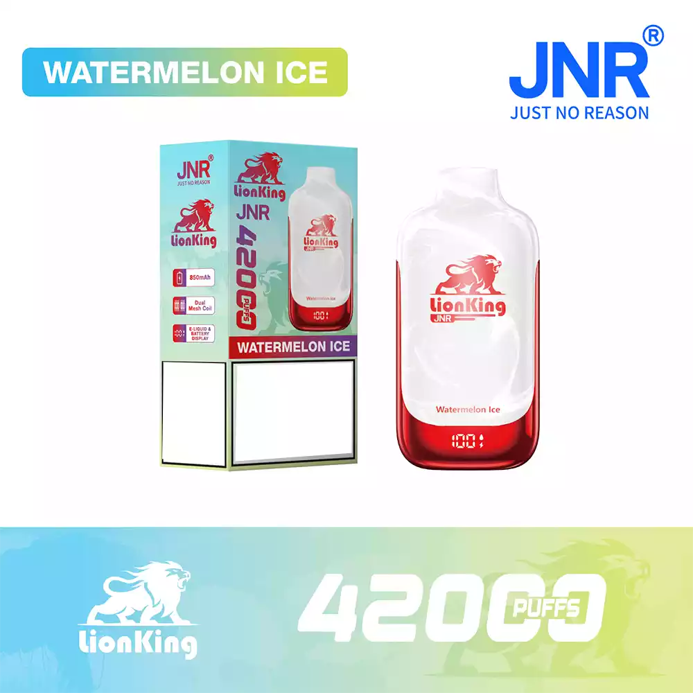 Jnr Vape 42K Vape Rechargeable Vape Watermelon Ice