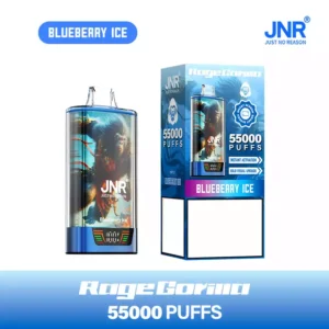 Jnr Vape 55k Puff Dual Mesh Vape Blueberry Ice