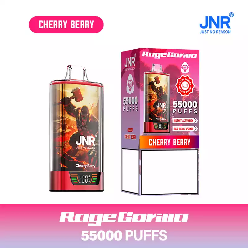 Jnr Vape 55k Puff Dual Mesh Vape Cherry Berry
