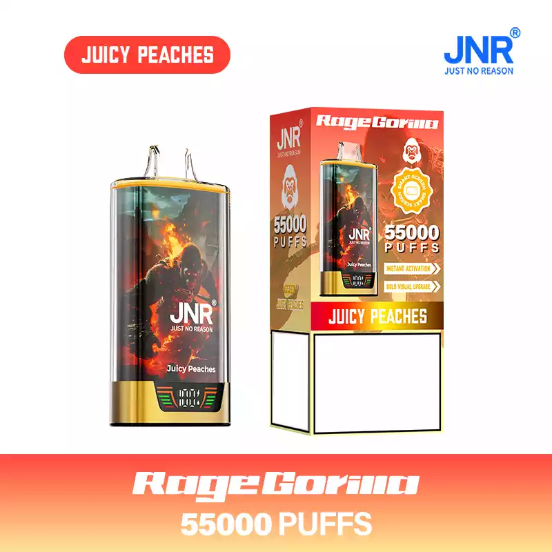 Jnr Vape 55k Puff Dual Mesh Vape Juicy Peaches
