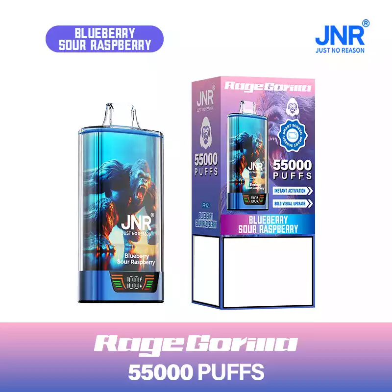 Jnr Vape 55k Puff Dual Mesh Vape Puff Dual Mesh Vape Blueberry Sour Raspberry