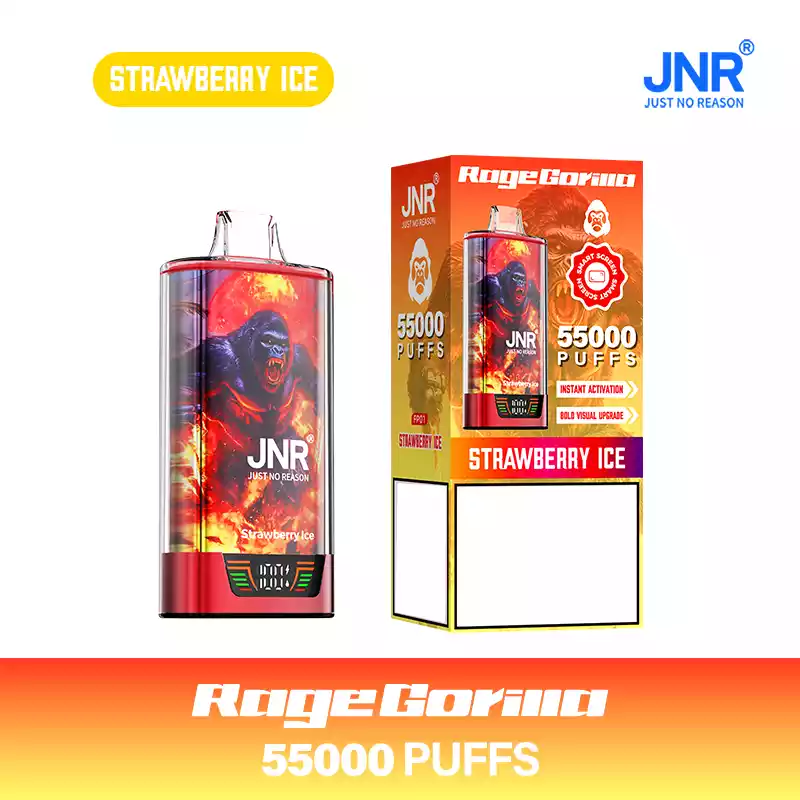 Jnr Vape 55K Puff Dual Mesh Vape | Buy Wholesale Online - Image 9