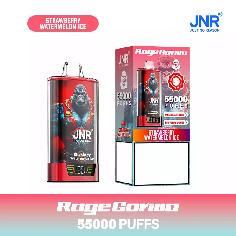 Jnr Vape 55k Puff Dual Mesh Vape Strawberry Watermelon Ice