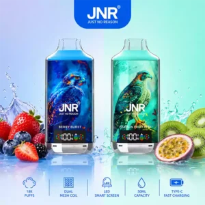 Jnr Vape Puff 18K Dual Mesh Vape