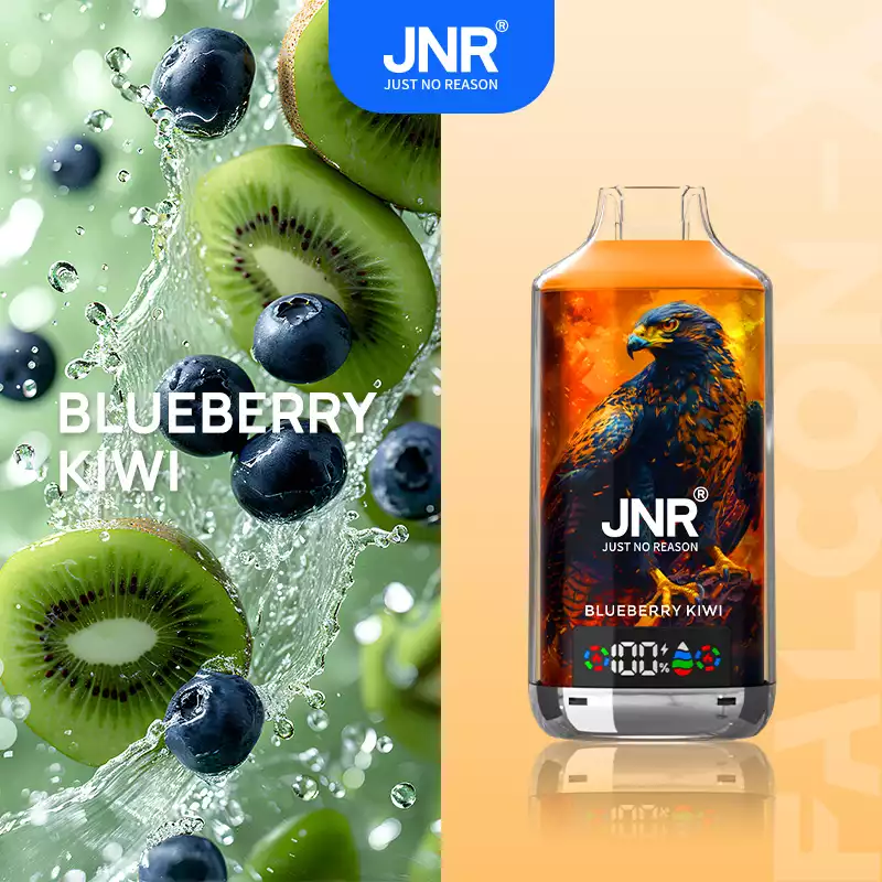 Jnr Vape Puff 18K Dual Mesh Vape Blueberry Kiwi