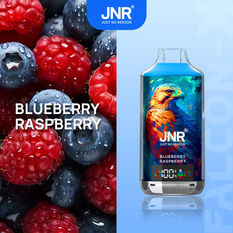 Jnr Vape Puff 18K Dual Mesh Vape Blueberry Raspberry