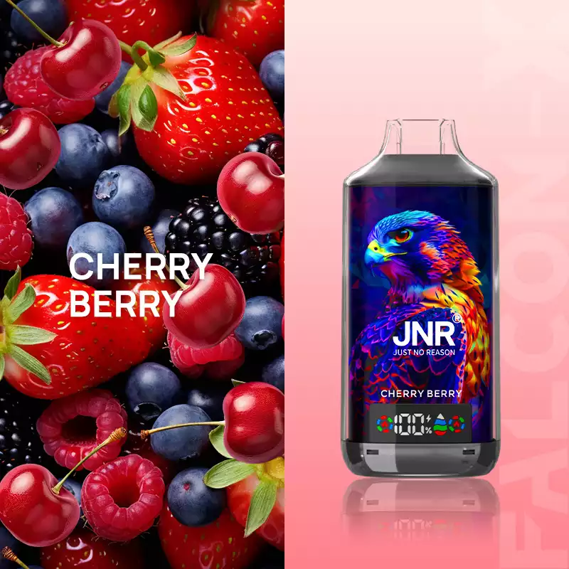 Jnr Vape Puff 18K Dual Mesh Vape Cherry Berry