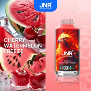 Jnr Vape Puff 18K Dual Mesh Vape Cherry Watermelon Freeze