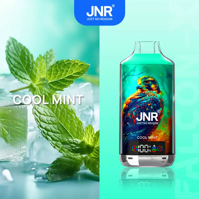 Jnr Vape Puff 18K Dual Mesh Vape Cool Mint