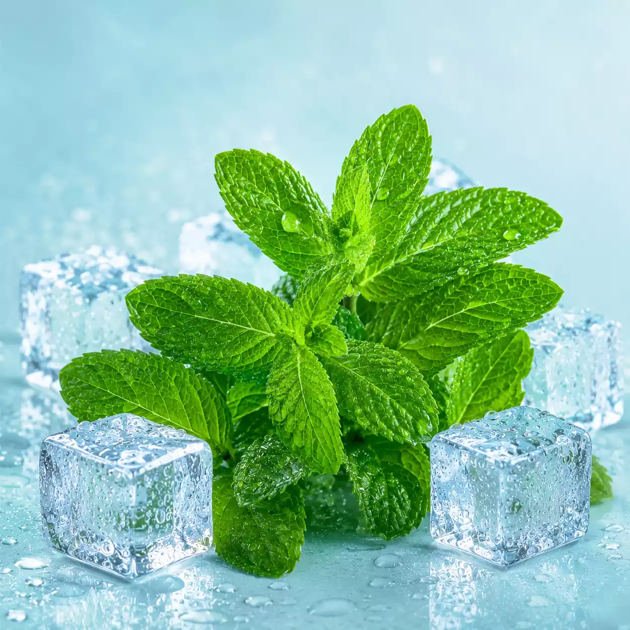 Mint Vape