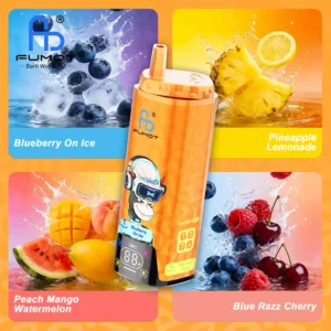 RandM Vape 4 in 1 Vape 80K Puff Blueberry On Ice & Pineapple Lemonade & Peach Mango Watermelon & Blue Razz Cherry